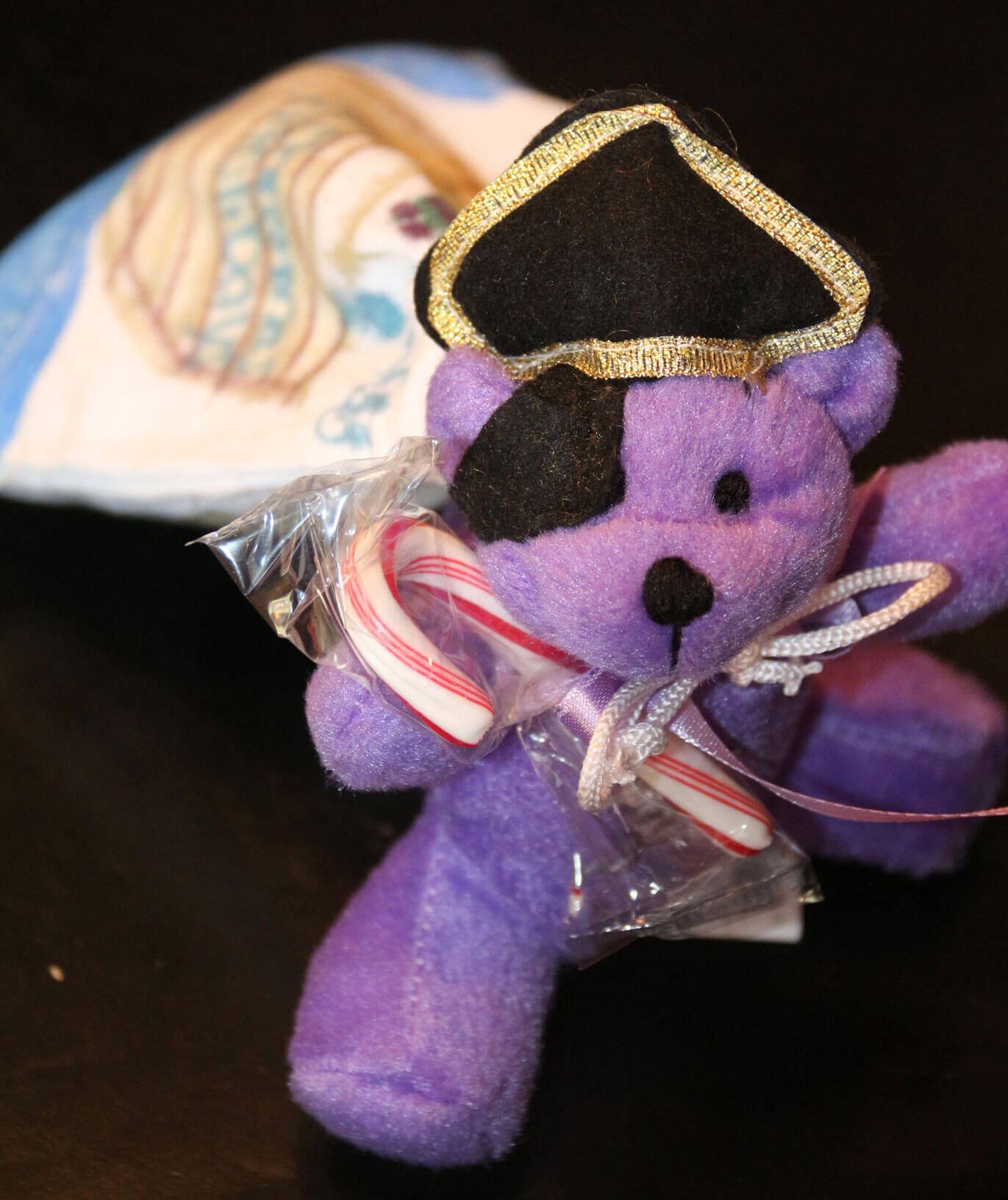Pirate Bear Christmas Gift
